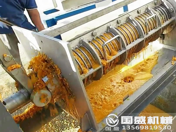 木瓜榨汁機 木瓜榨汁機