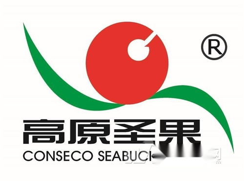 高原圣果沙棘制品 同順廣告傳媒，讓健康與品牌同頻共振